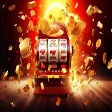 8855 bet